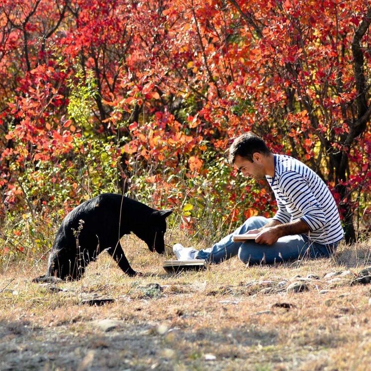  18427718  Temo, 34 ,    