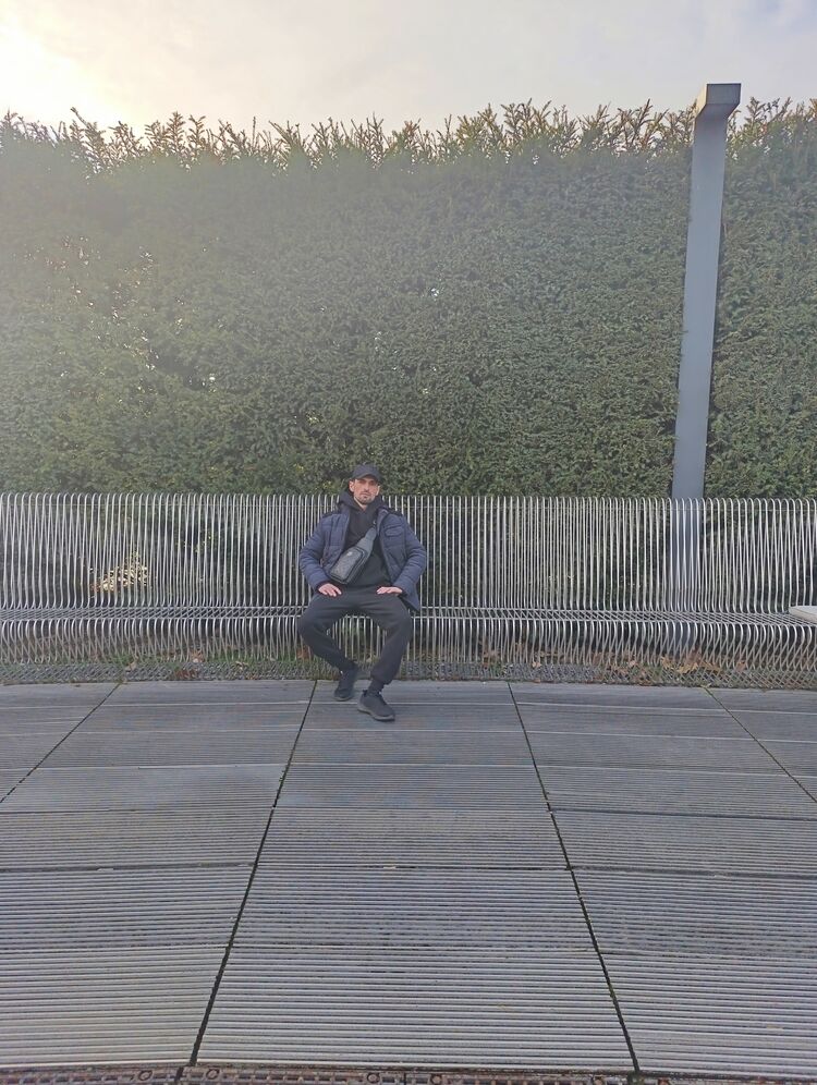  50290338  , 33 ,    