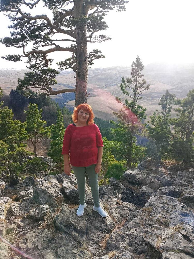 ���������� �����������, ���� ������� ��������, 66 ���, ������������ 