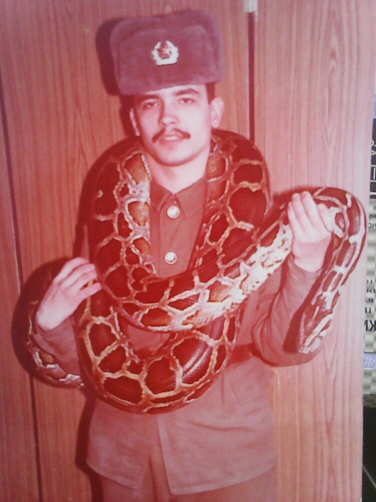 ���� 9526378 ������� �������, 52 ����, ���� ���������� � �������