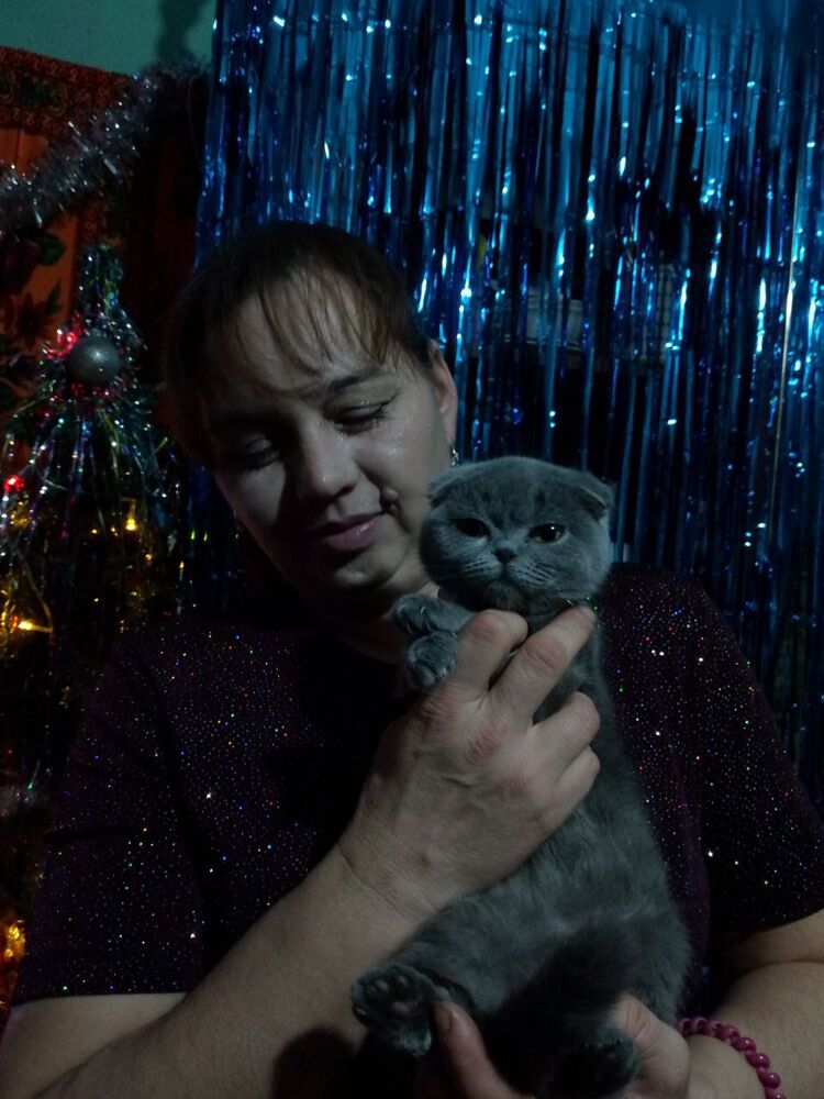 ���� 55007108 ������� ���������, 40 ���, ���� ���������� � �������