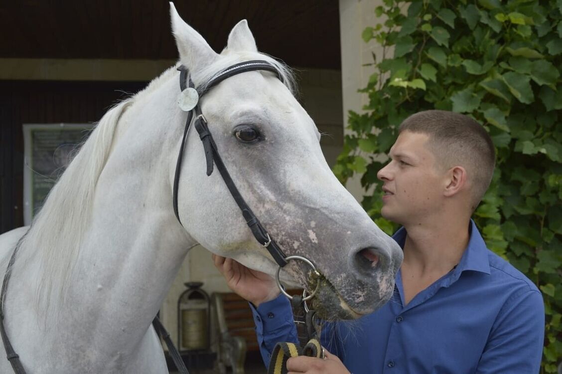 ���������� ���������, ���� ������� �������, 32 ����, ������������ ��� ������, ����� � ���������, c�������� ���������