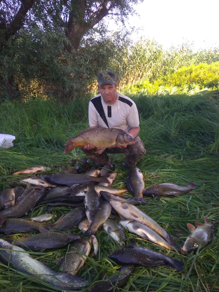  ,   , 53 ,   , 
