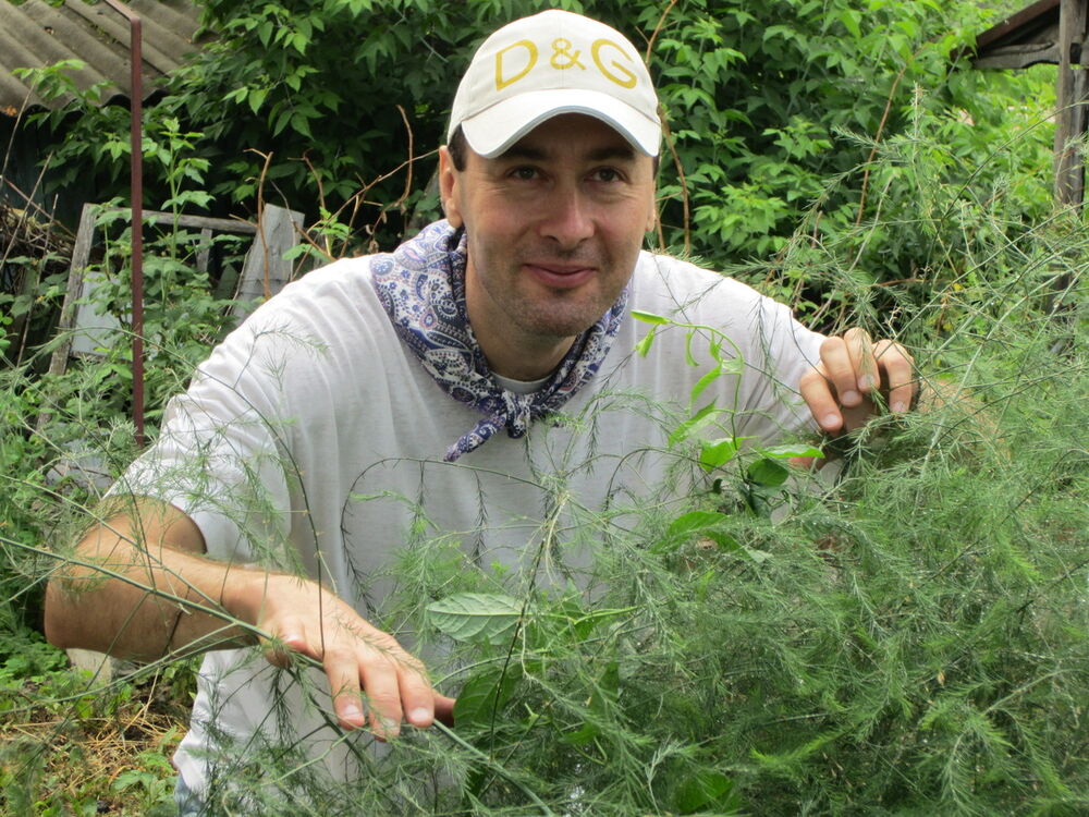 ���������� �����������, ���� ������� ����, 59 ���, ������������ 