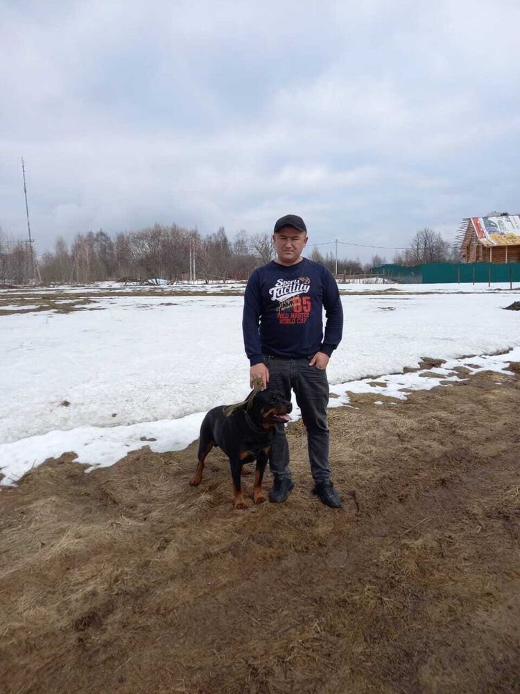 ���� 26553308 ������� ���, 40 ���, ���� ���������� � ������