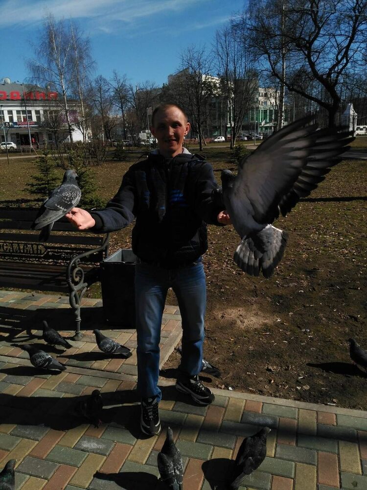 ���� 16768078 ������� �����, 36 ���, ���� ���������� � ������