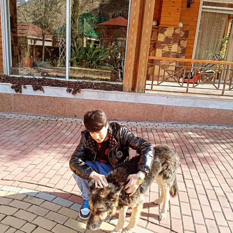 ���������� ������, ���� ����� ������, 24 ����, ������������ ��� ������, ����� � ���������, c�������� ���������, ���������