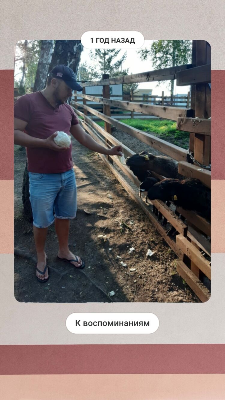 ���� 25367958 ������� �����, 35 ���, ���� ���������� � ������