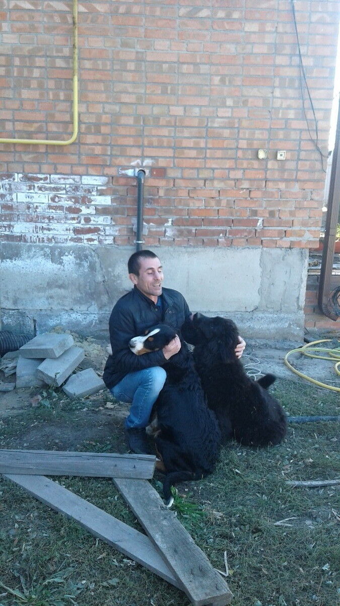 ���� 8545528 ������� �����, 50 ���, ���� ���������� � �����