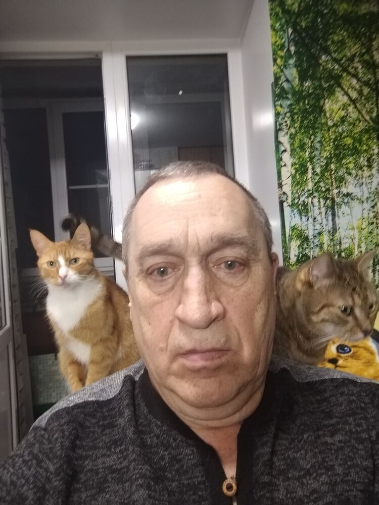 ���� 50561048 ������� ���������, 66 ���, ���� ���������� � �������� ����