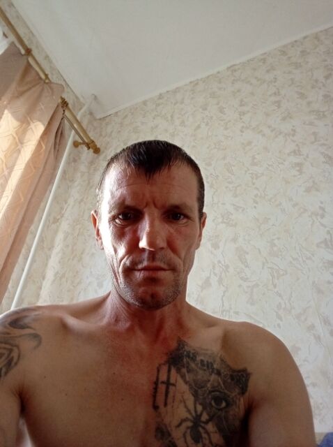  28060488  , 44 ,     