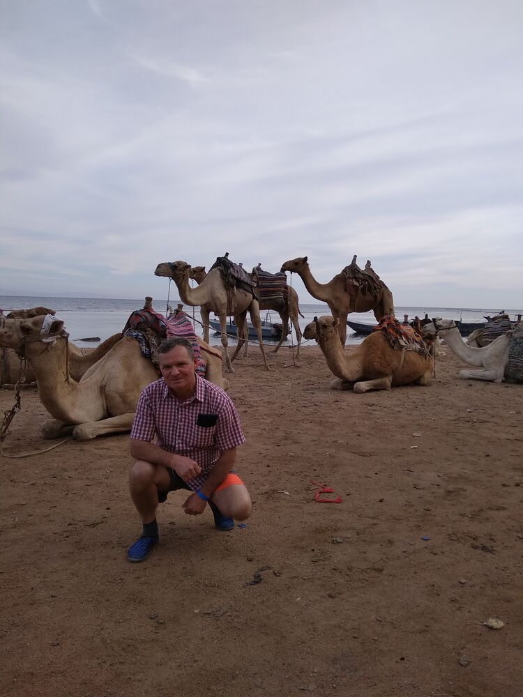 ���������� �����-���������, ���� ������� ���������, 62 ����, ������������ ��� ������, ����� � ���������, c�������� ���������