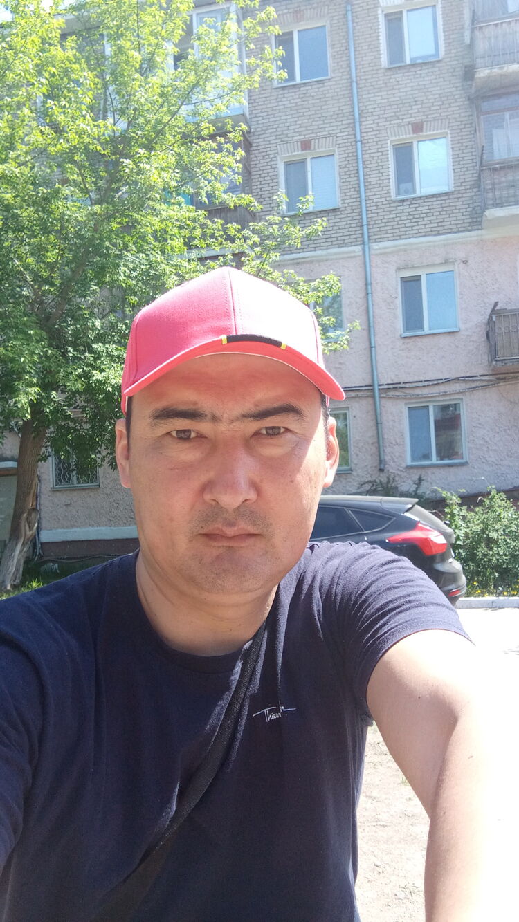  43368348  , 42 ,    