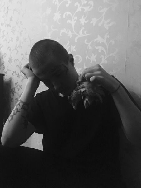 ���� 33576438 ������� Vyedevica, 26 ���, ���� ���������� � ������������