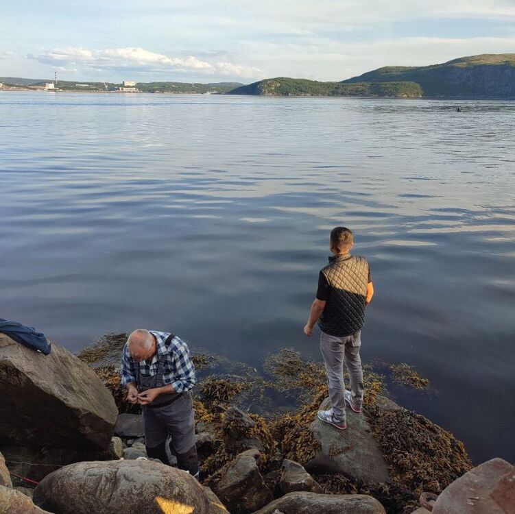 ���� 40889948 ����� ���������, 24 ����, ���� ���������� � ���������