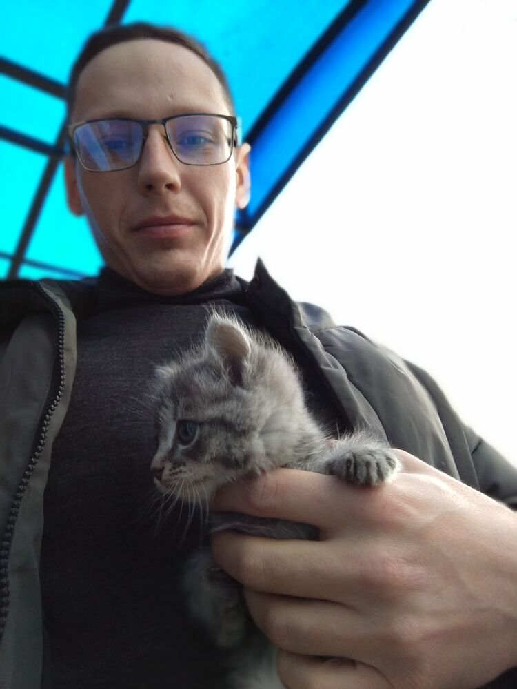 ���������� ����������, ���� ������� ������, 31 ���, ������������ ��� ������, ����� � ���������, c�������� ���������