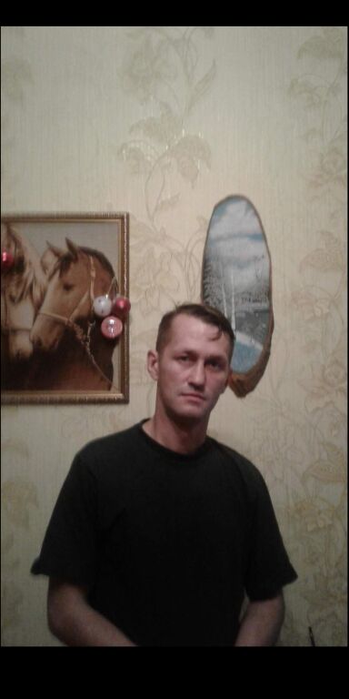  26293348  , 43 ,    