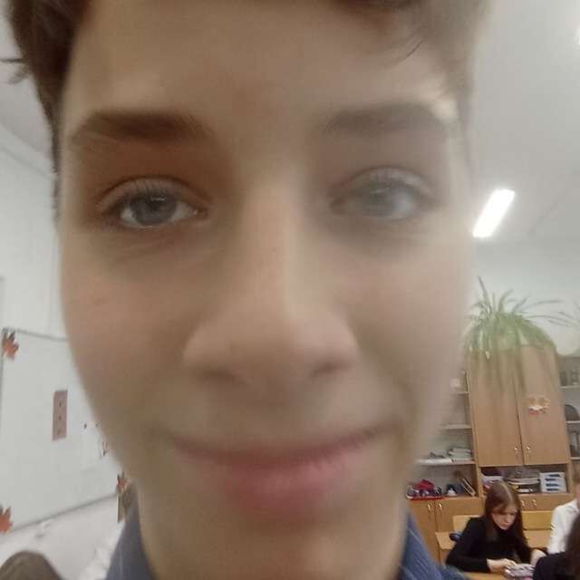  31344358  , 101 ,    -