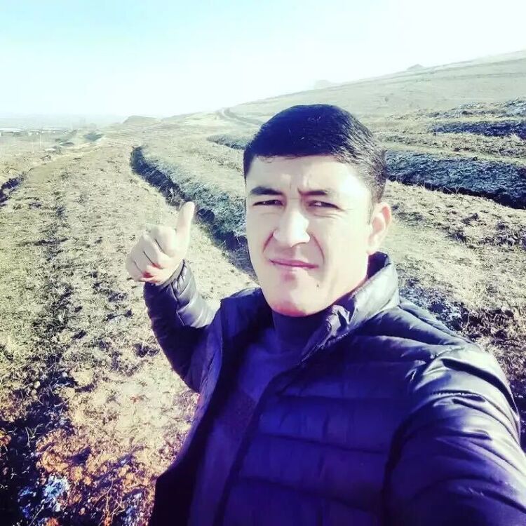  ,    , 33 ,   ,   