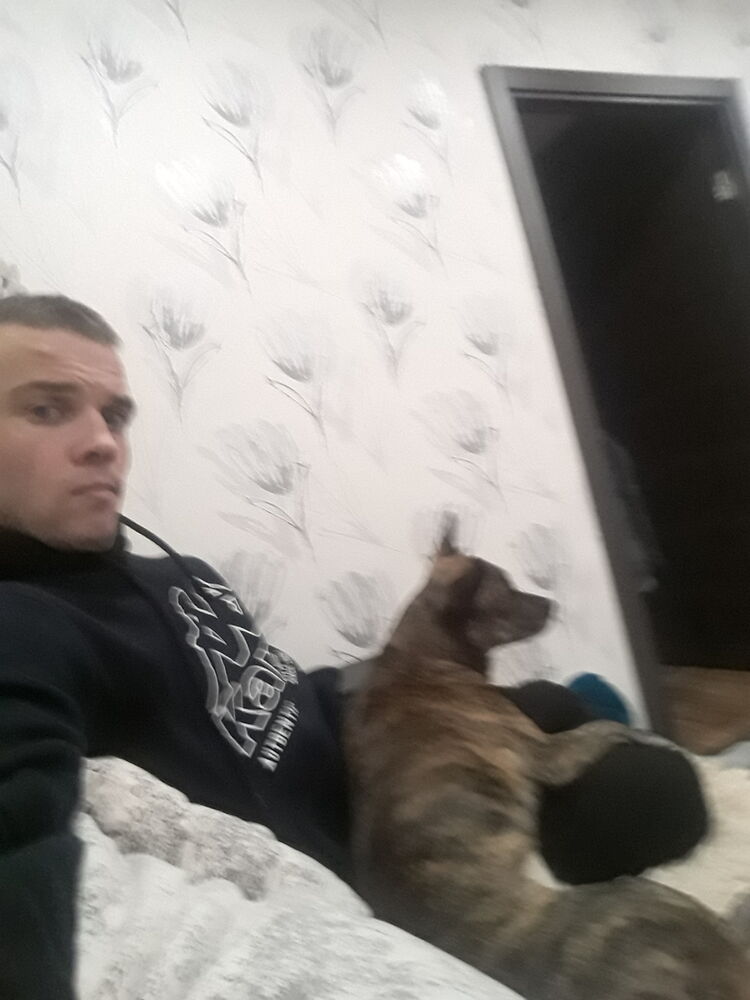 ���� 31653608 ������� �������, 33 ����, ���� ���������� � �����-����������