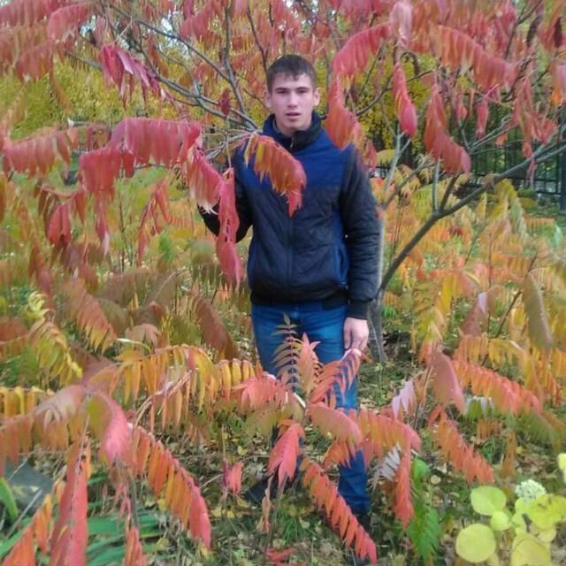 ���� 54768568 ������� ������, 27 ���, ���� ���������� � ������