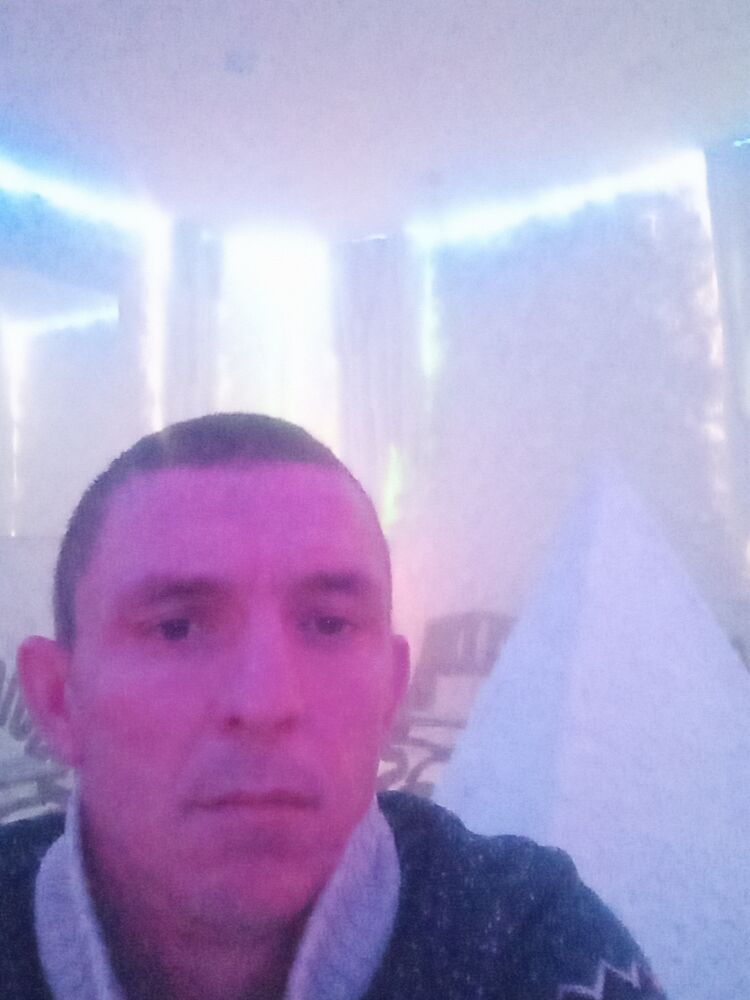  40577508  , 36 ,    