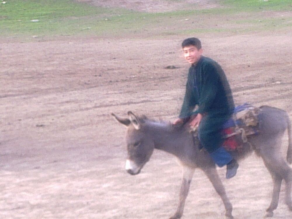 ���������� �������, ���� ������� ��������, 48 ���, ������������ ��� ������, ����� � ���������, c�������� ���������