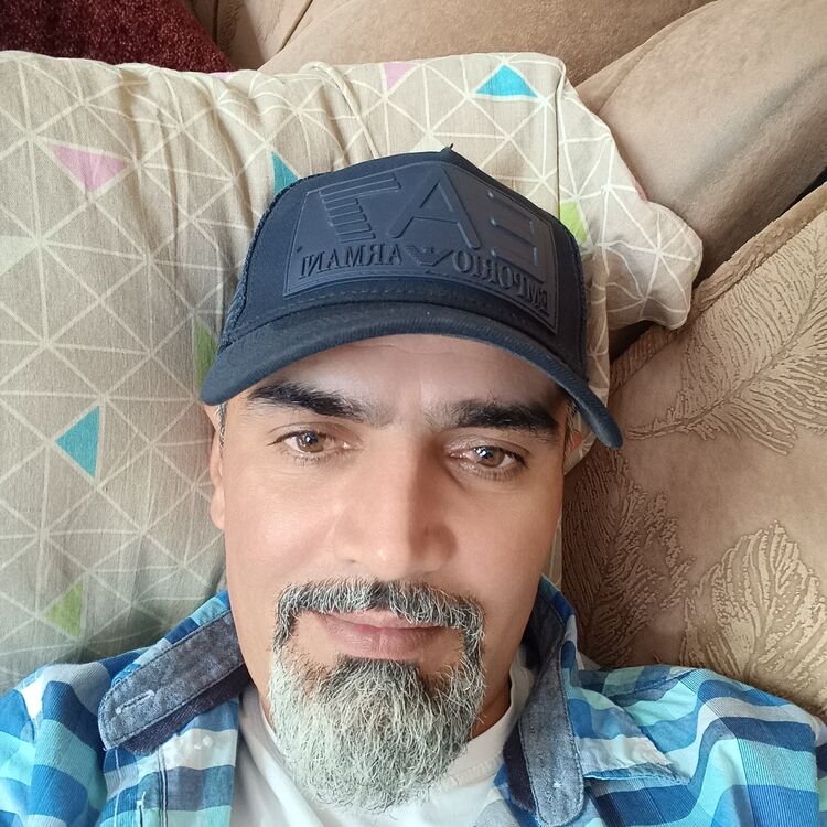  44316198  , 43 ,    