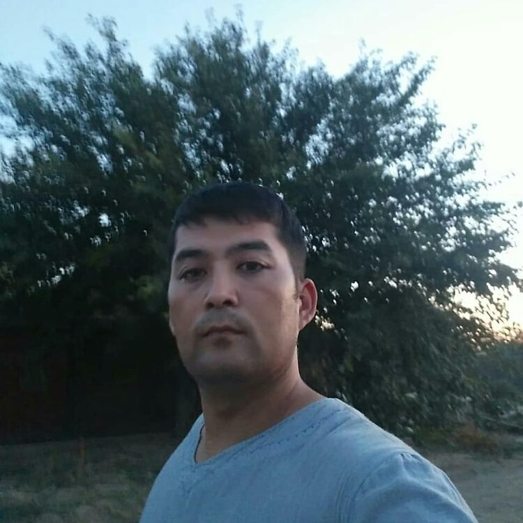 ���������� ���������, ���� ������� �����, 33 ����, ������������ ��� ������, ����� � ���������, c�������� ���������