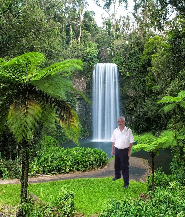 ���� 19172468 ������� ��������, 55 ���, ���� ���������� � ����