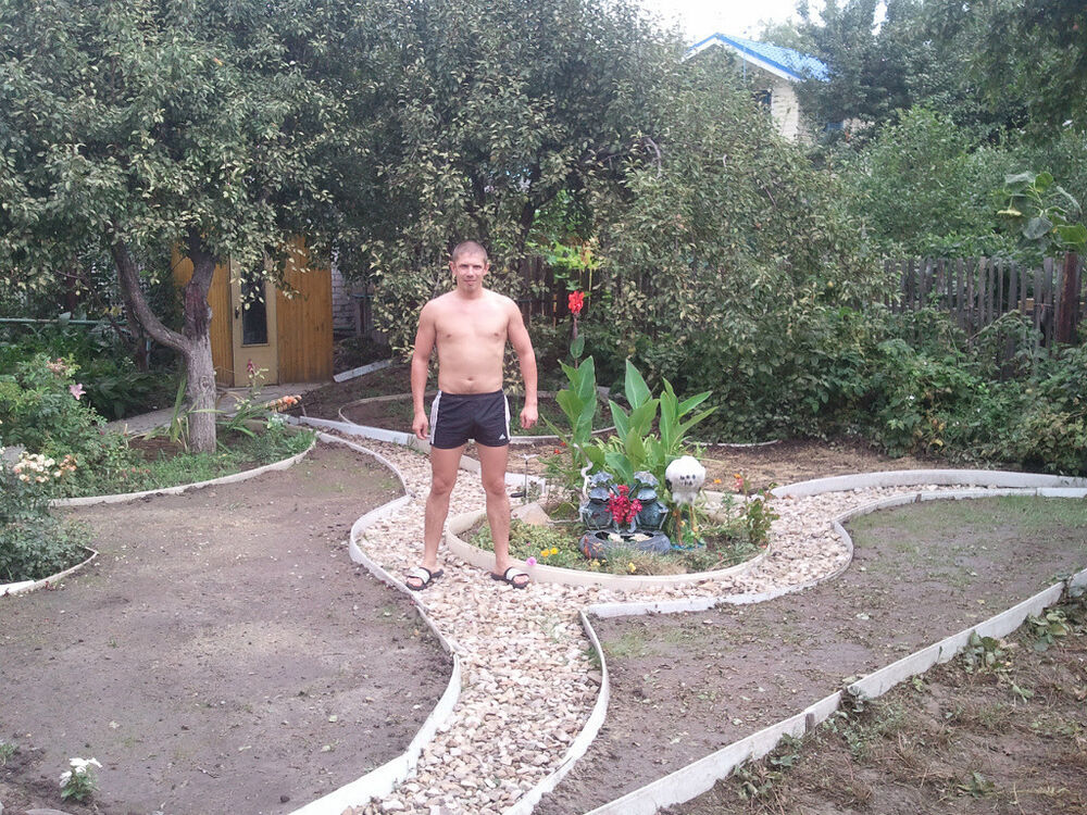  9040798  , 41 ,    