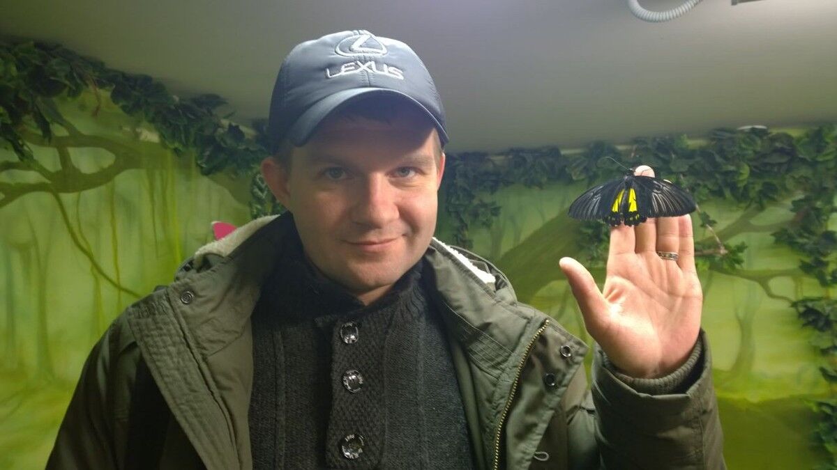 ���������� ������, ���� ������� ������, 49 ���, ������������ ��� ������, ����� � ���������, c�������� ���������