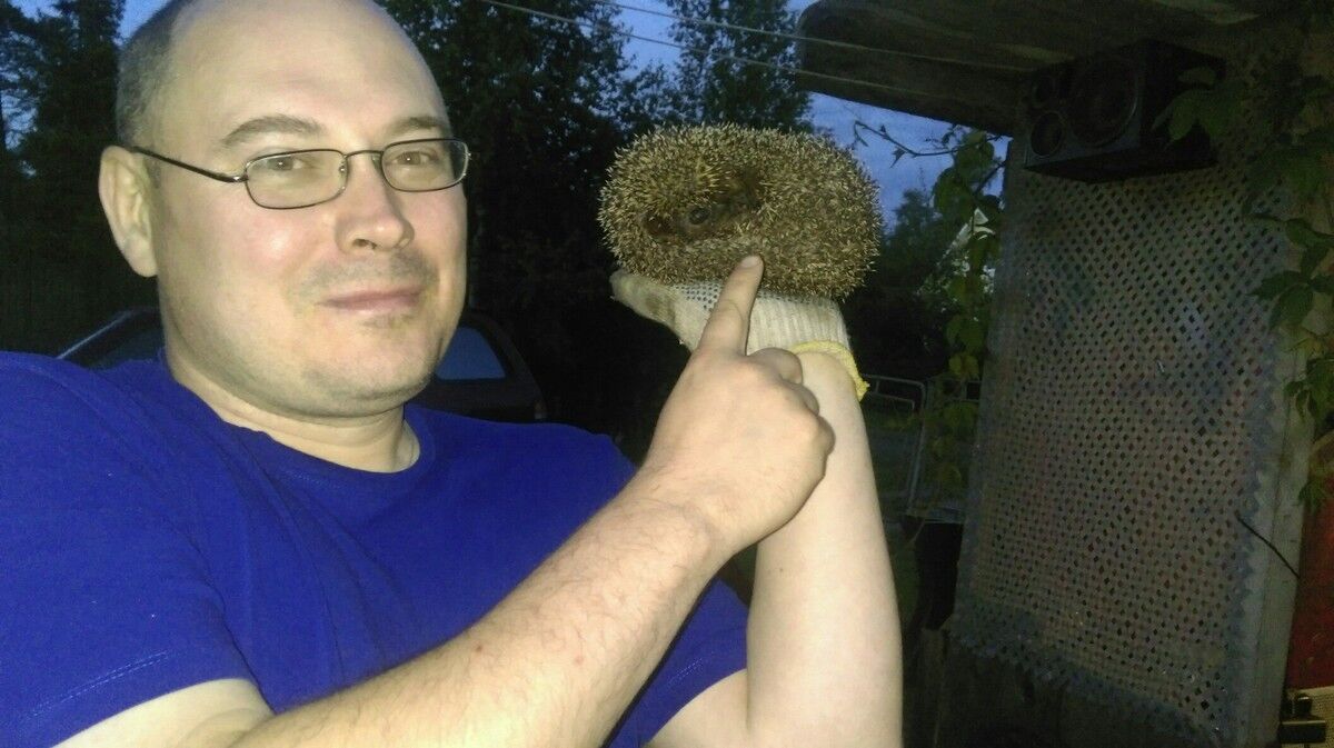 ���� 8122578 ������� �����, 52 ����, ���� ���������� � �����-����������