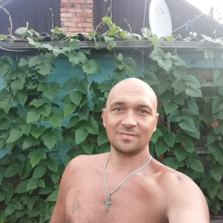 ���������� ����������, ���� ������� ��������, 44 ����, ������������ ��� ������, ����� � ���������, c�������� ���������