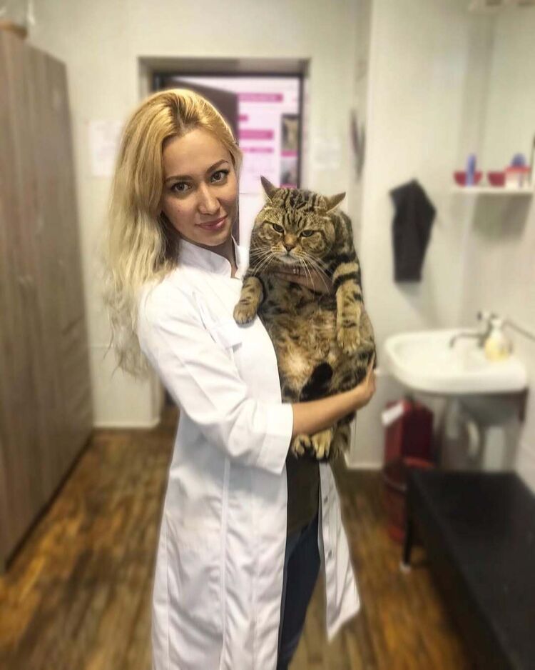 ���� 50683268 ������� ����, 32 ����, ���� ���������� � ������������