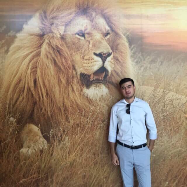 ���� 24916138 ������� Bek, 37 ���, ���� ���������� � ��������