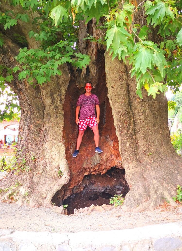 ���������� �������, ���� ������� ������, 32 ����, ������������ ��� ������, ����� � ���������, c�������� ���������