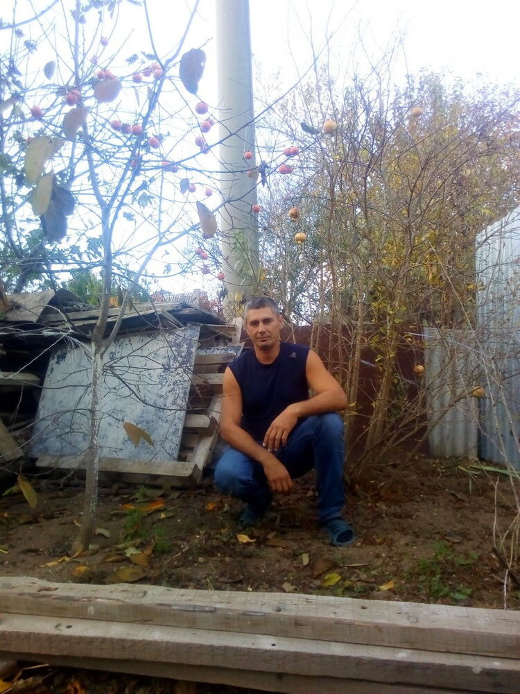  17264658  , 53 ,    
