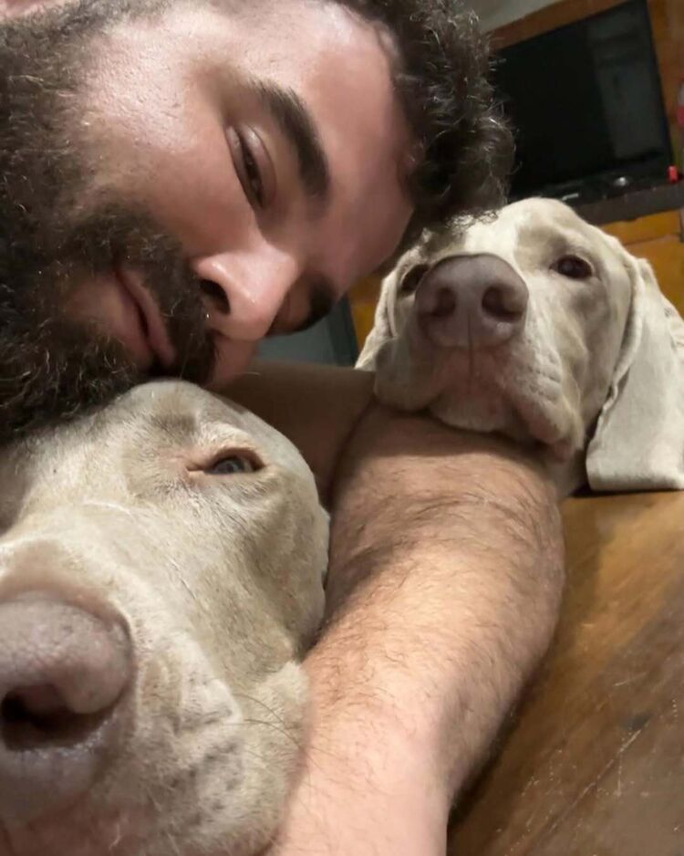 ���� 51055258 ������� ���������, 37 ���, ���� ���������� � ��������