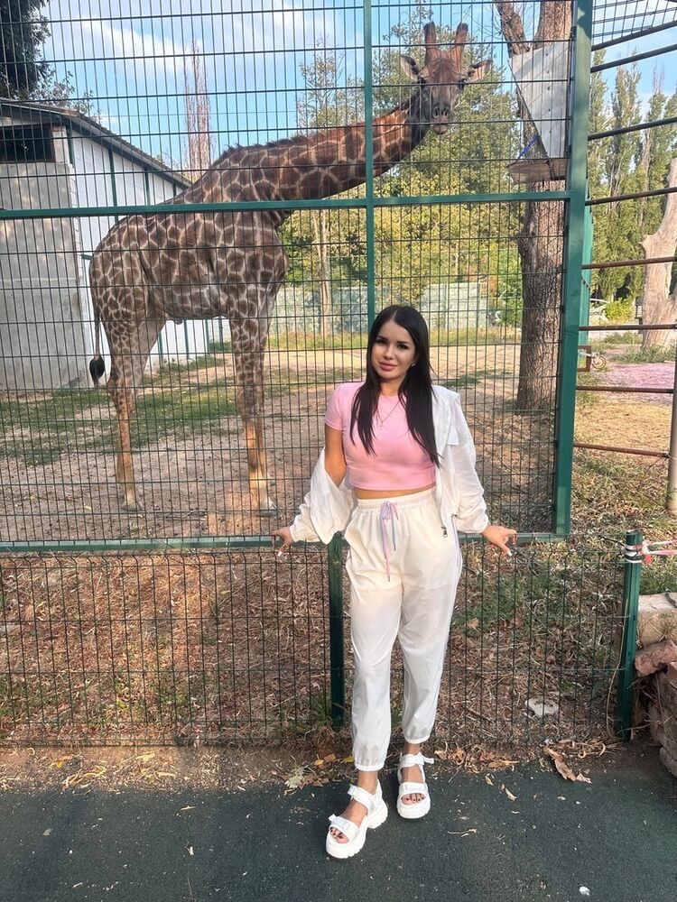 ���������� �����-���������, ���� ������� ����������, 29 ���, ������������ ��� ������, ����� � ���������, c�������� ���������, ���������