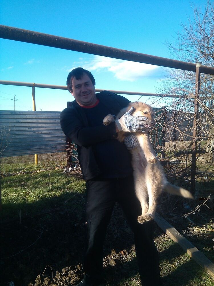 ���� 14223628 ������� ������, 41 ���, ���� ���������� � �������