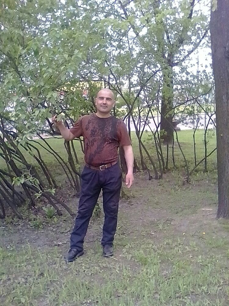  50233618  , 38 ,    