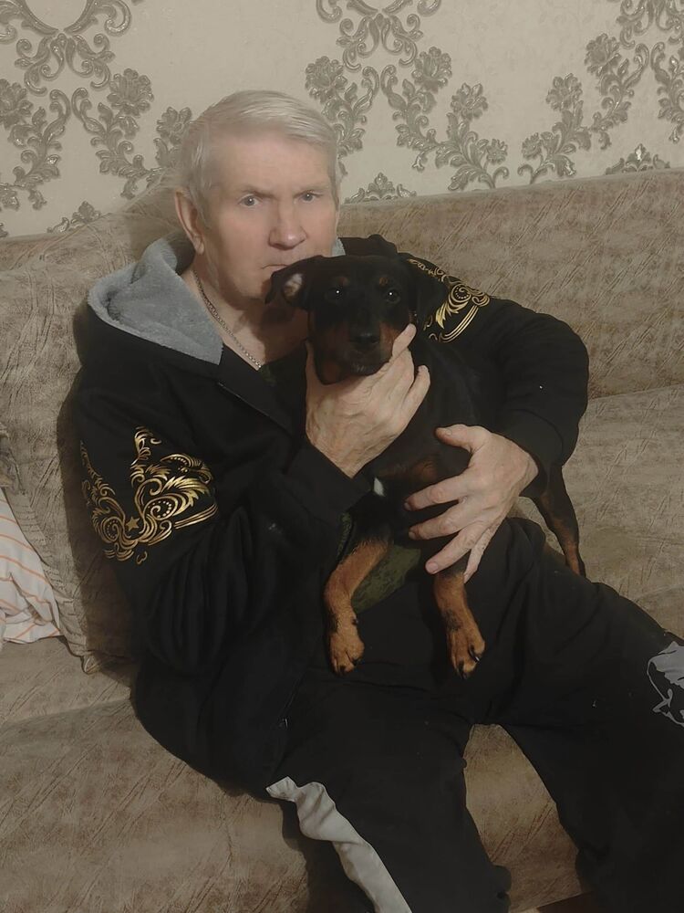 ���� 49348188 ������� �������, 45 ���, ���� ���������� � ��������