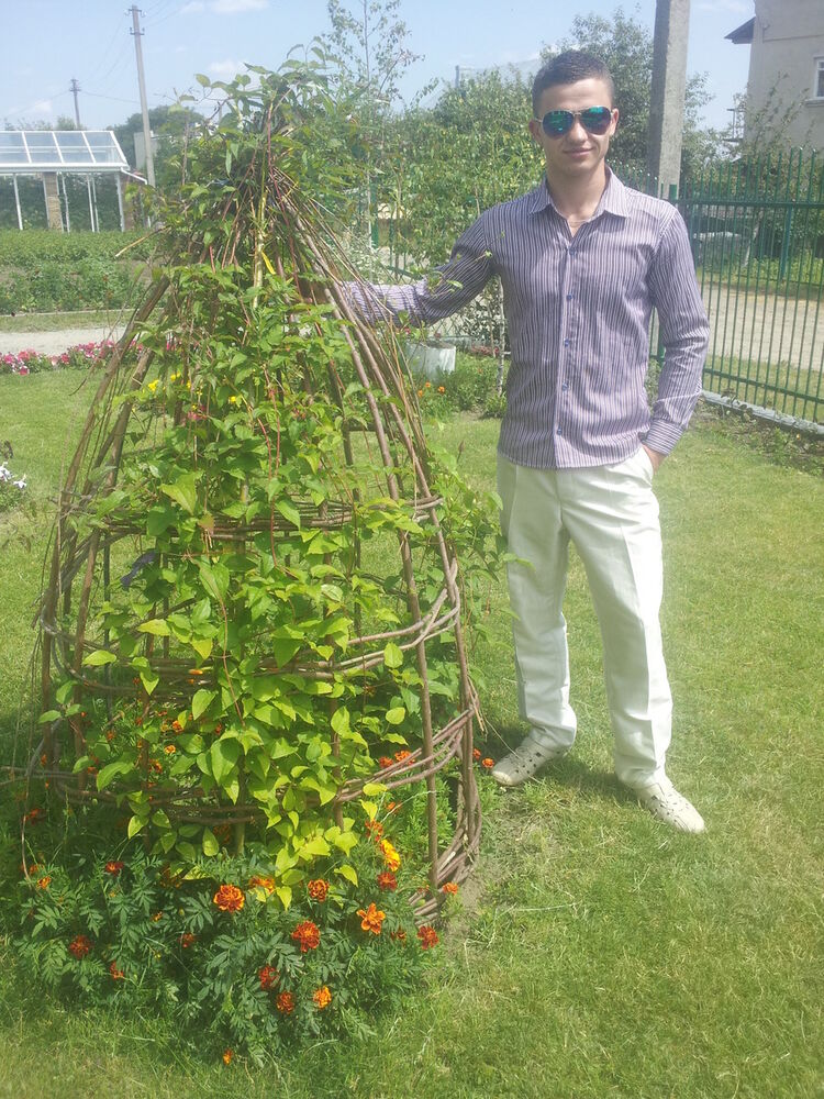 ���������� �����, ���� ������� Brus, 31 ���, ������������ ��� ������, ����� � ���������, c�������� ���������