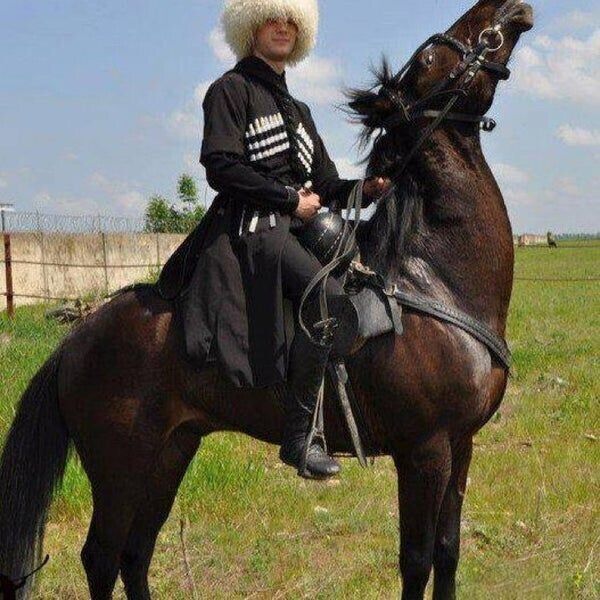 ���������� �������, ���� ������� ����, 38 ���, ������������ ��� ������, ����� � ���������