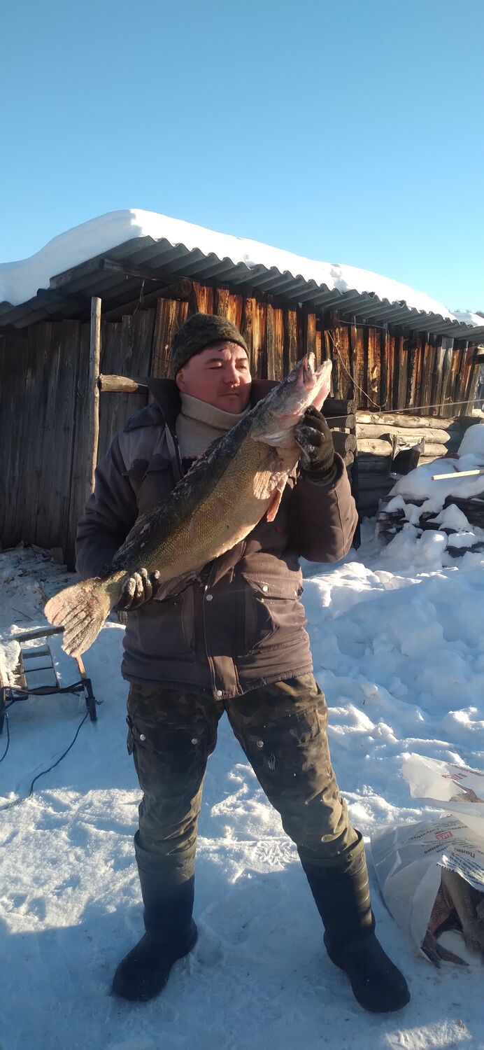 ���������� ���������, ���� ������� ����, 38 ���, ������������ ��� ������, ����� � ���������, c�������� ���������