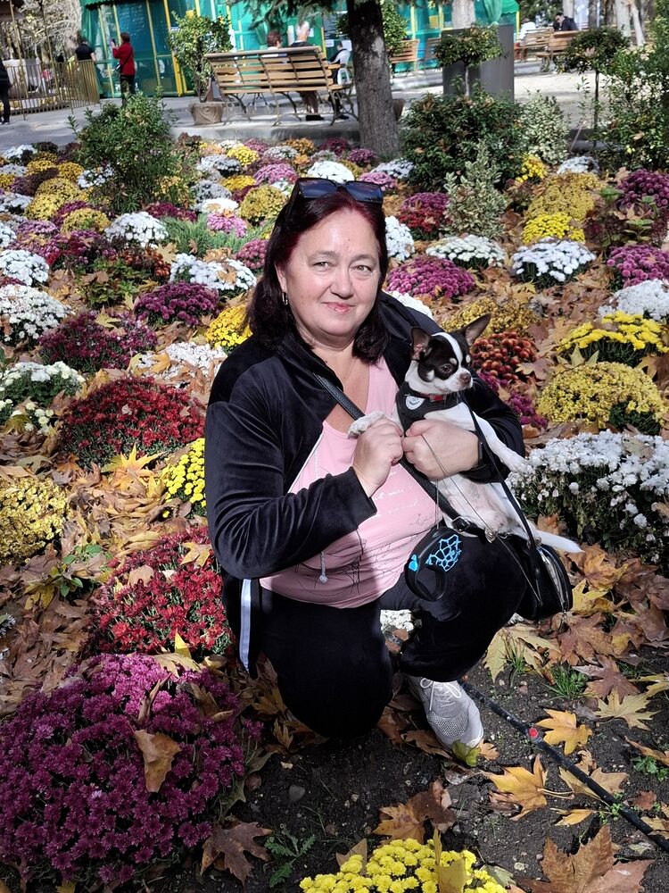 ���� 54975038 ������� ������, 52 ����, ���� ���������� � �����������