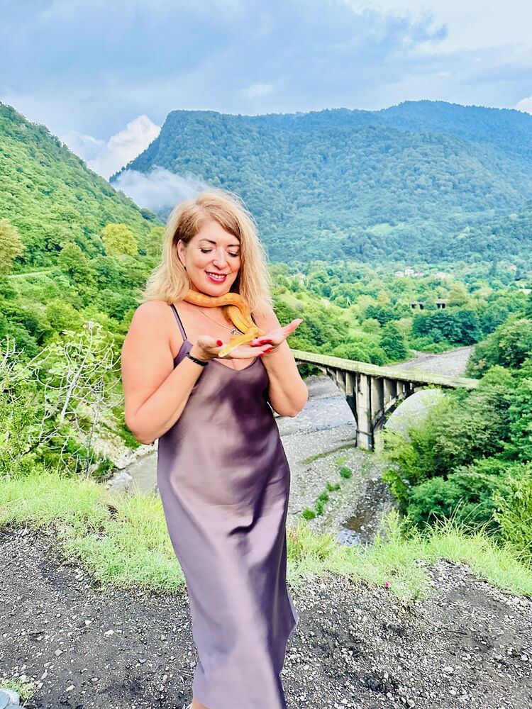  54350878  , 47 ,    -