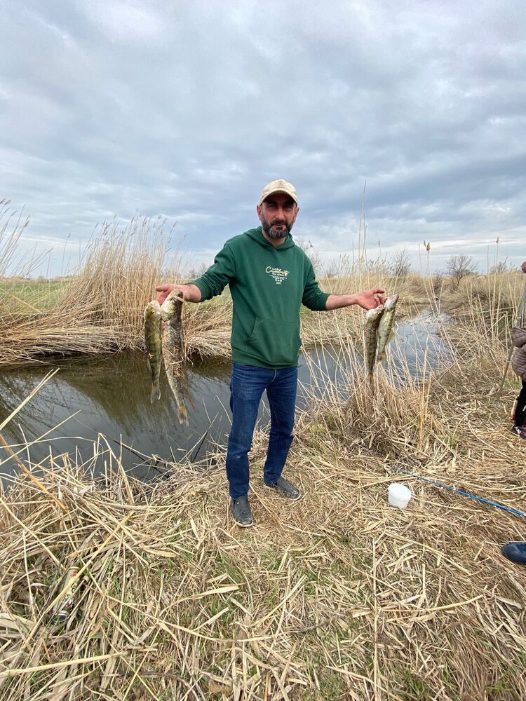 ���������� ������, ���� ������� ������, 42 ����, ������������ ��� ������, ����� � ���������