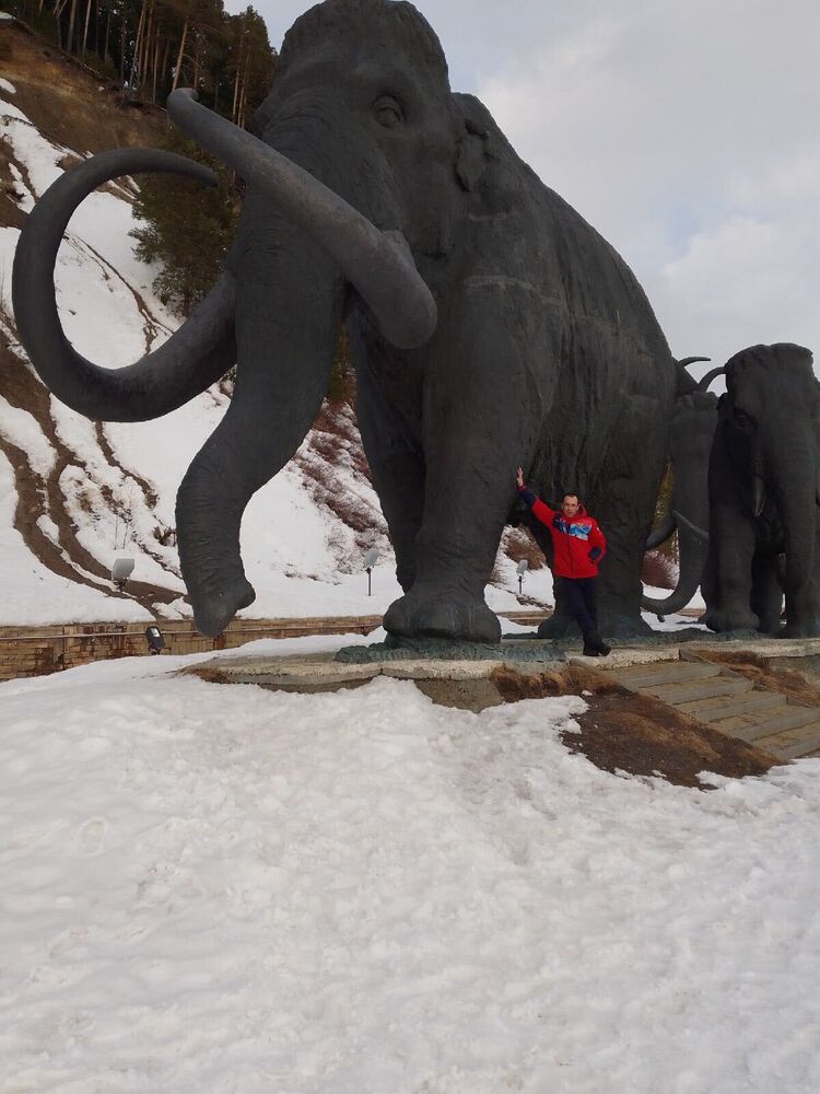 ���� 26281458 ������� ������, 37 ���, ���� ���������� � ������